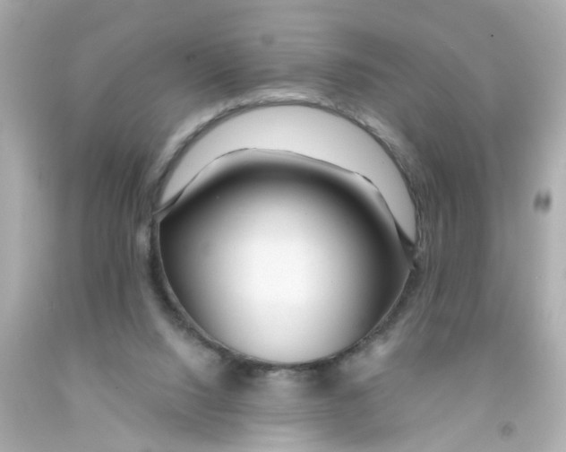 X0000093140064200710241351