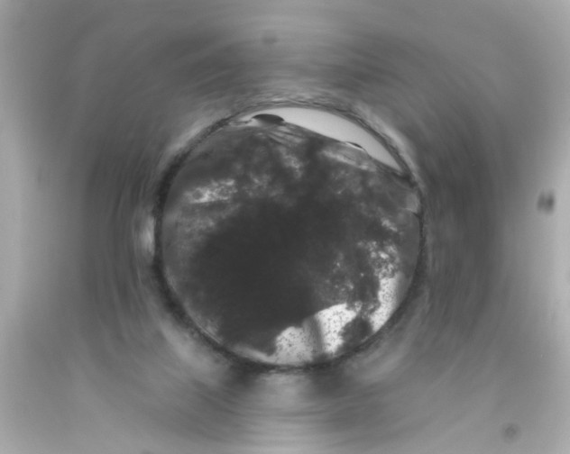 X0000093140067200710241351