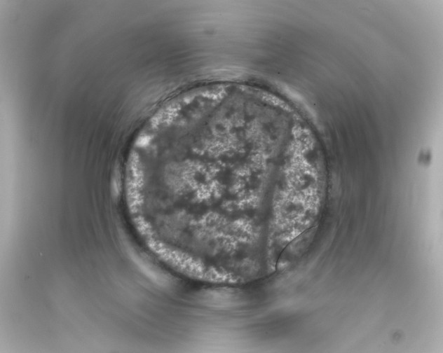 X0000093140069200710241351