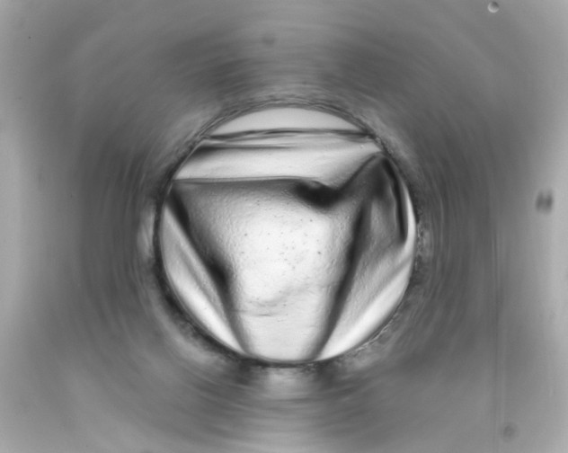 X0000093140070200710241351