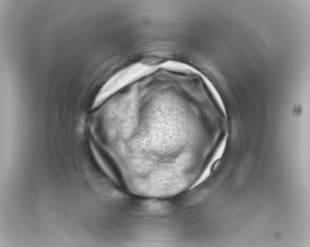 X0000093140073200710241351