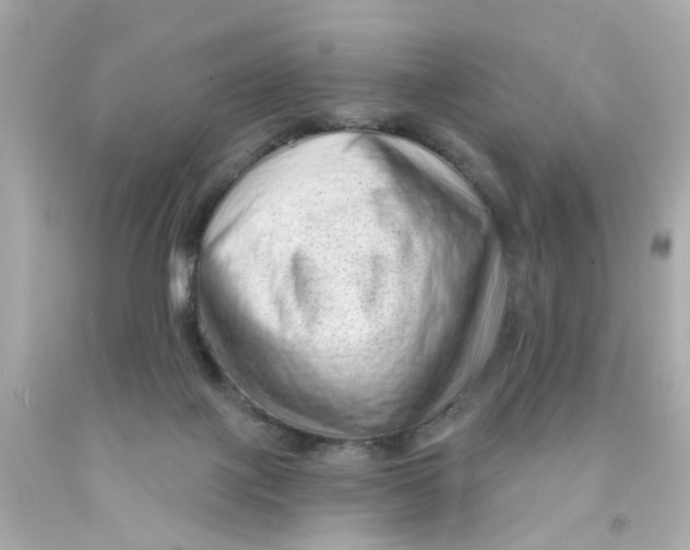 X0000093140075200710241351