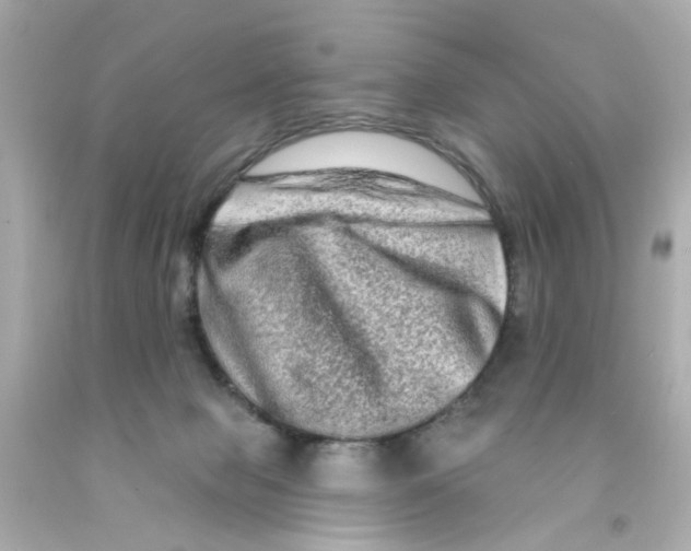 X0000093140077200710241351