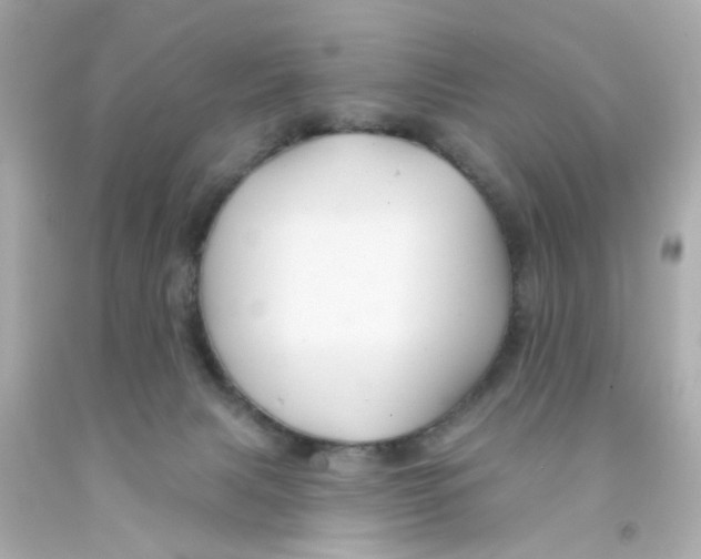 X0000093140079200710241351