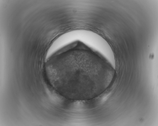 X0000093140080200710241351