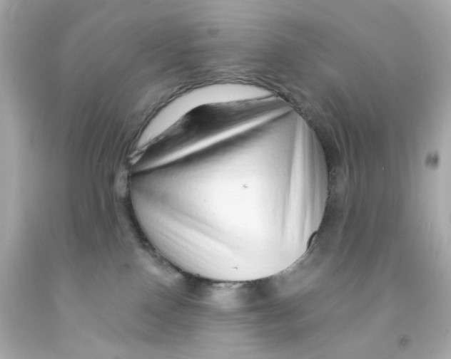 X0000093140090200710241351