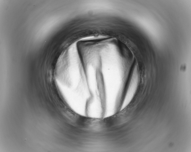 X0000093140093200710241351