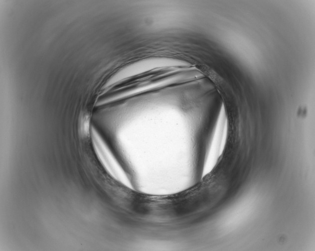 X0000093140095200710241351