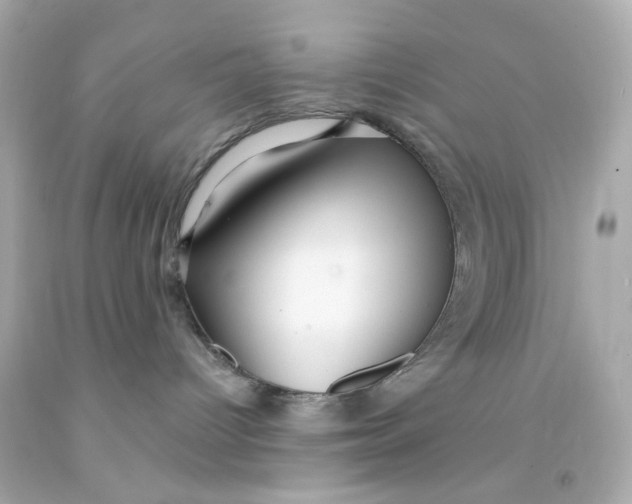 X0000093140096200710241351