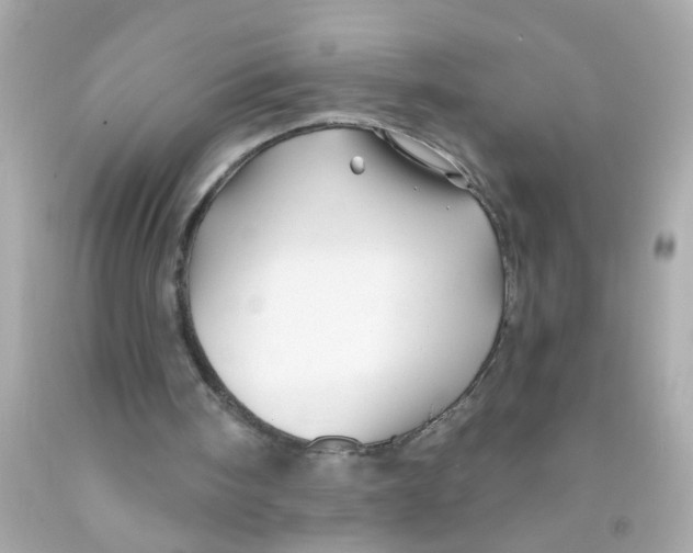 X0000093140098200710241350