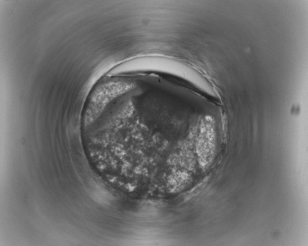 X0000093140099200710241350