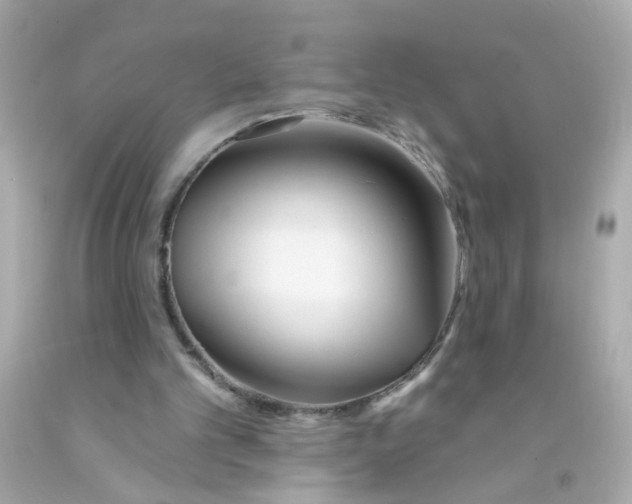 X0000093140101200710241350