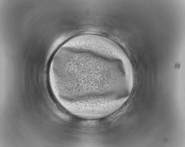 X0000093140102200710241350