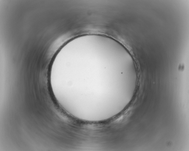 X0000093140103200710241350