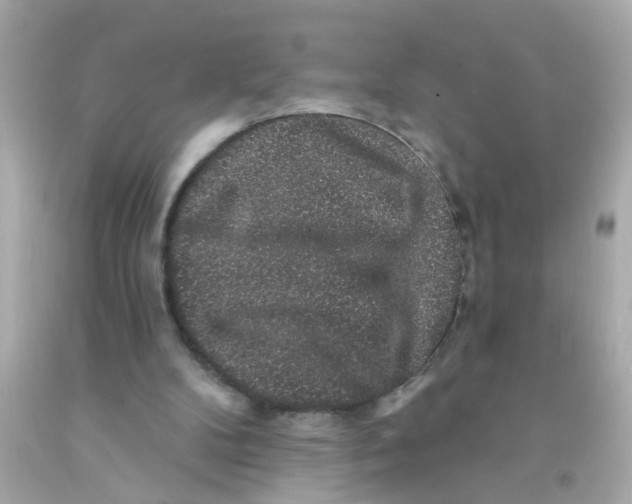 X0000093140104200710241350