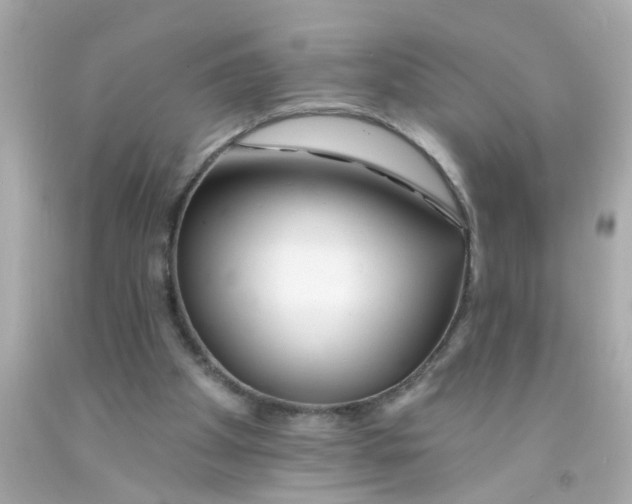 X0000093140105200710241350