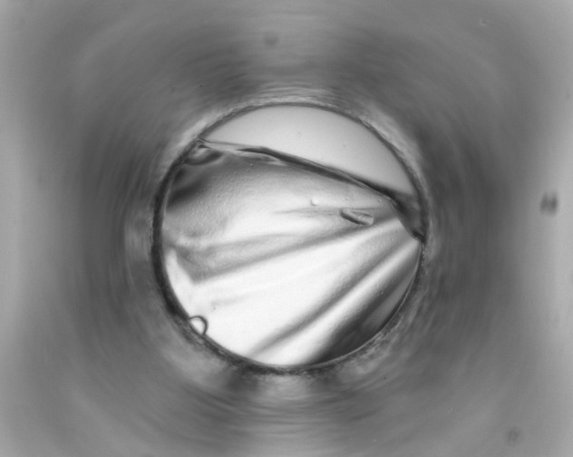 X0000093140107200710241350