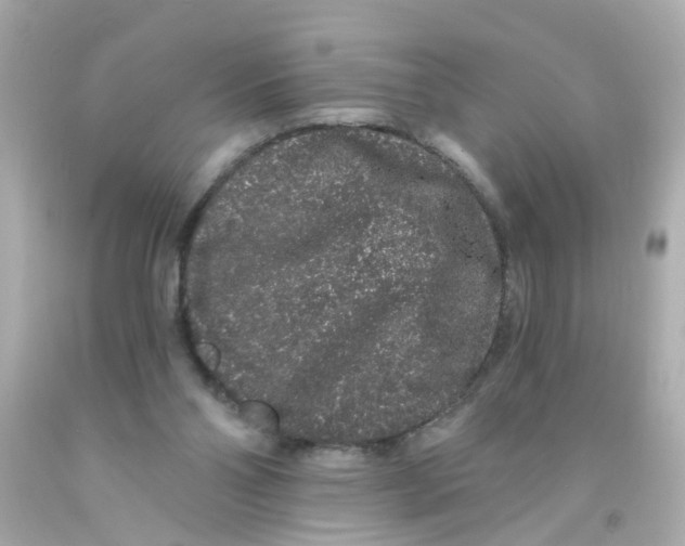 X0000093140110200710241350