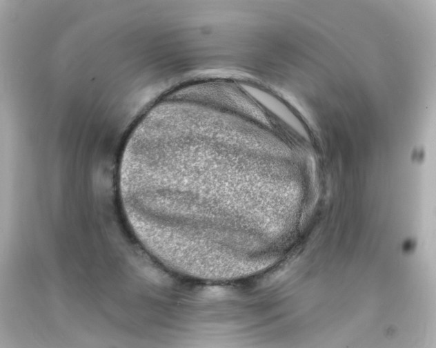 X0000093140111200710241350