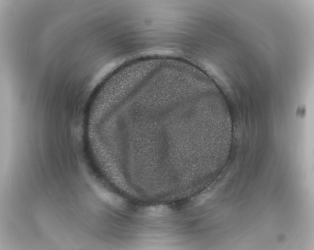 X0000093140112200710241350