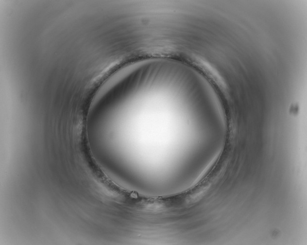 X0000093140113200710241350