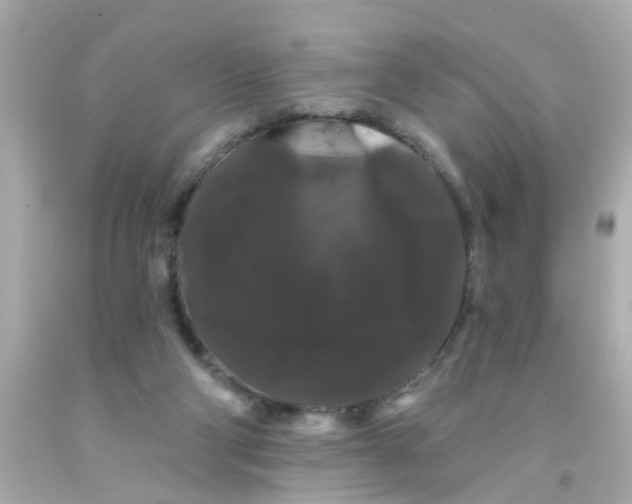 X0000093140114200710241350