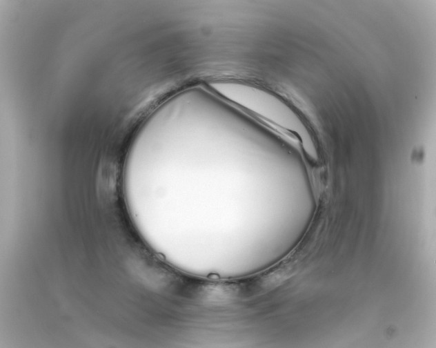 X0000093140115200710241350