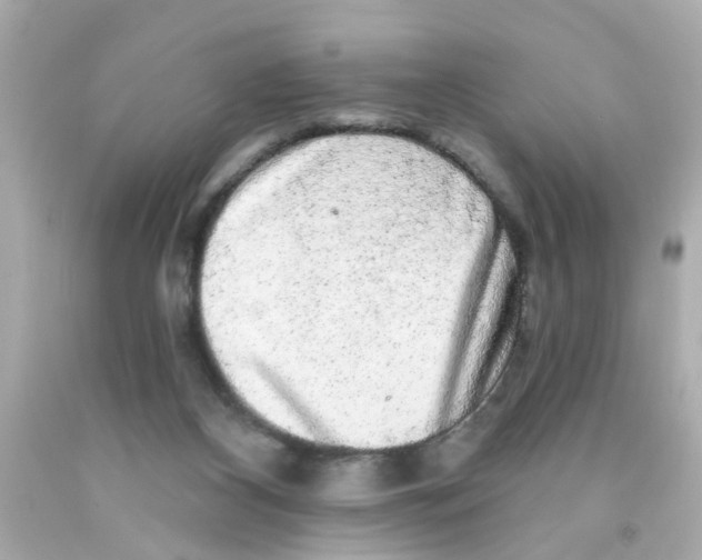 X0000093140116200710241350