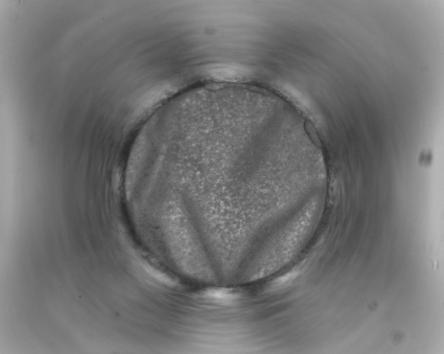 X0000093140117200710241350