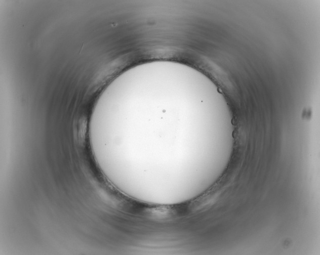 X0000093140118200710241350