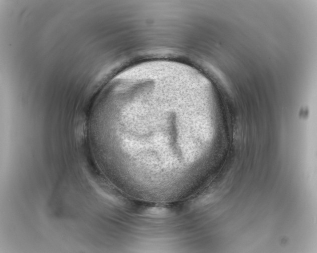 X0000093140119200710241350