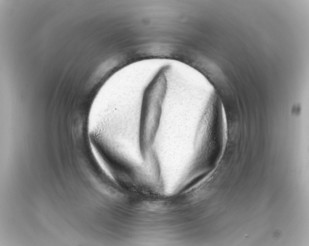 X0000093140120200710241350