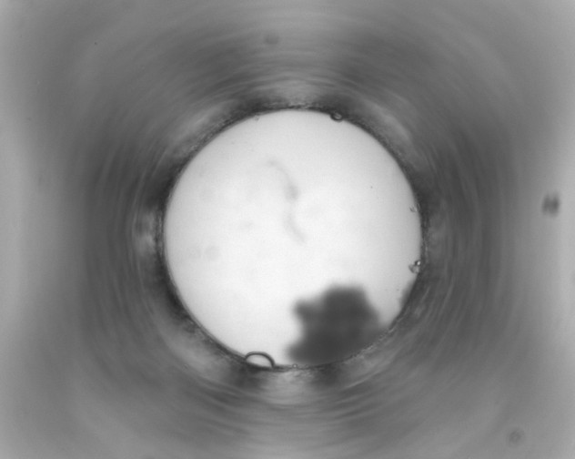 X0000093140122200710241350