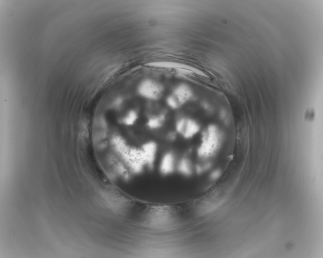 X0000093140127200710241350