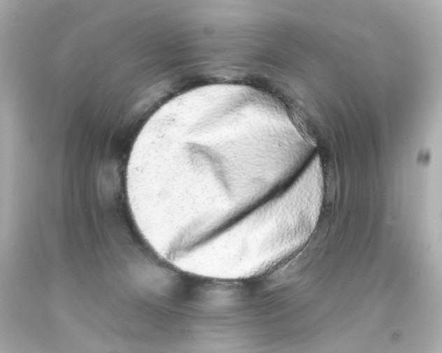 X0000093140128200710241350