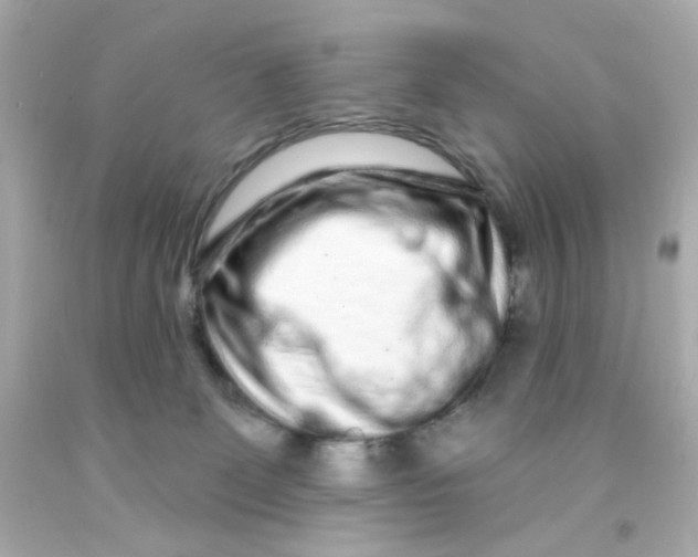 X0000093140131200710241350