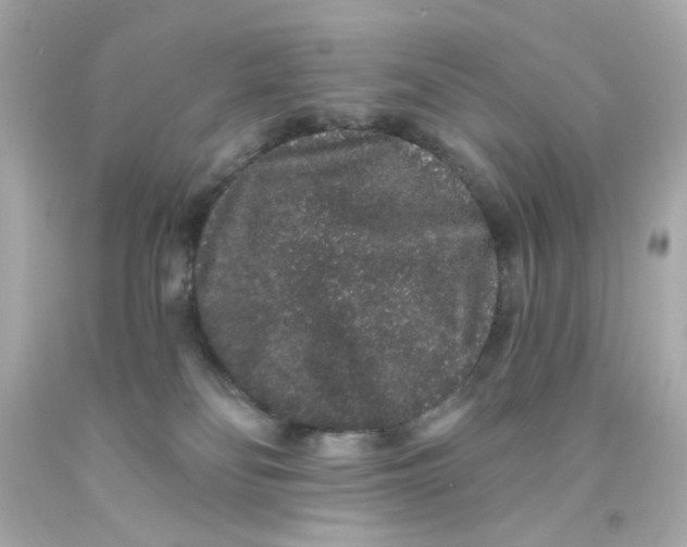 X0000093140134200710241350