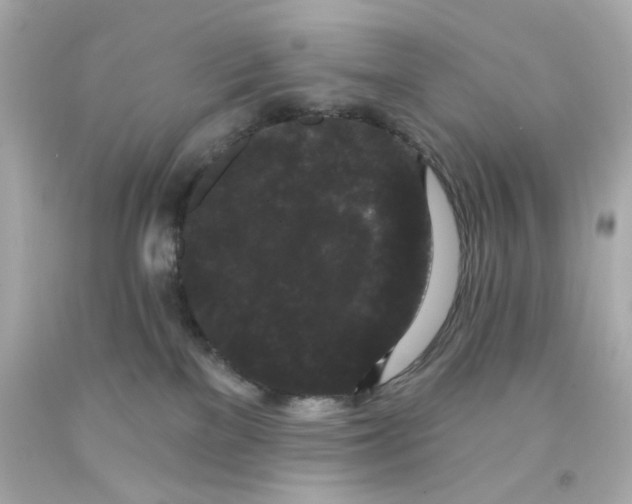 X0000093140137200710241350