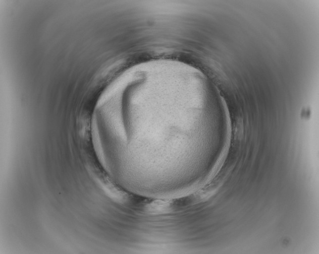 X0000093140138200710241350