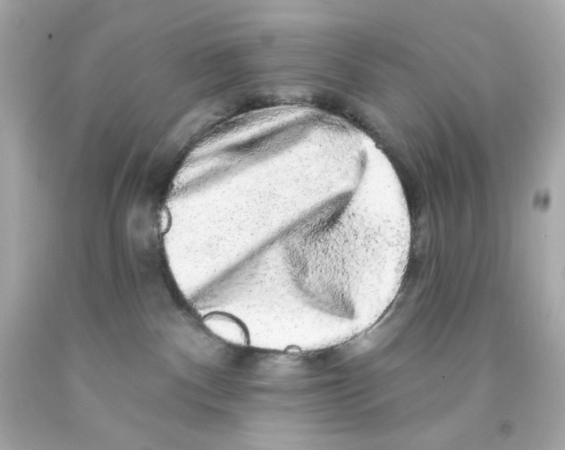 X0000093140140200710241350