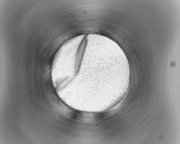 X0000093140144200710241350