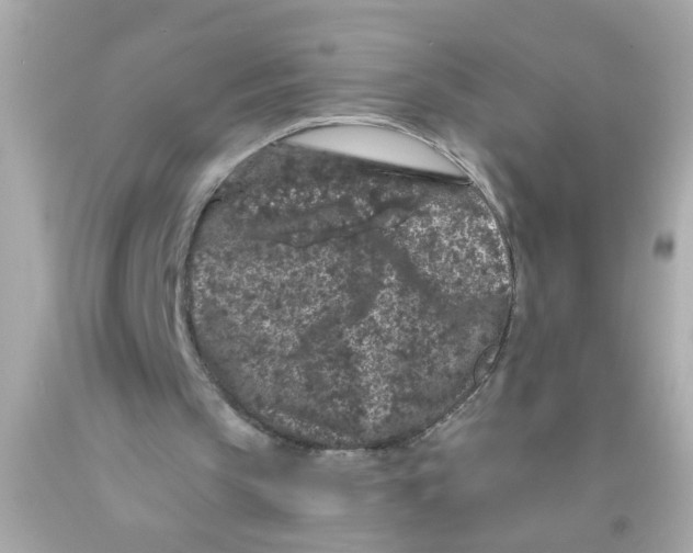 X0000093140145200710241349