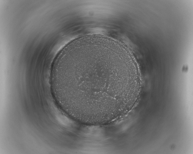 X0000093140146200710241349