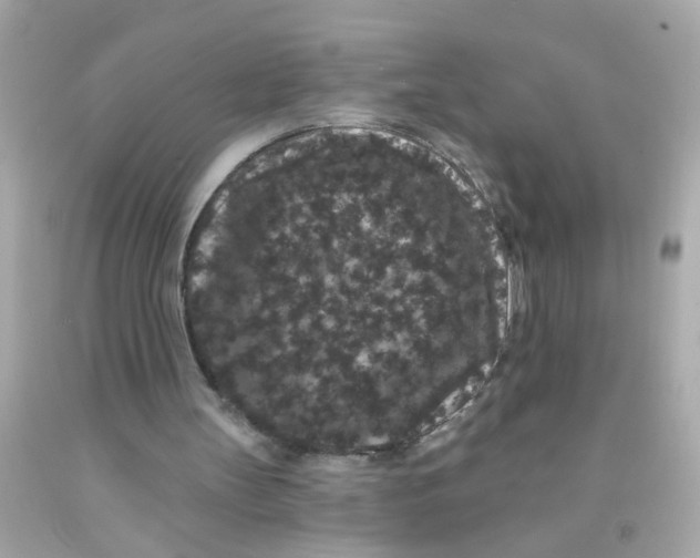 X0000093140147200710241349