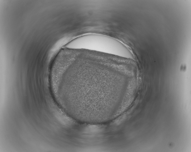 X0000093140149200710241349