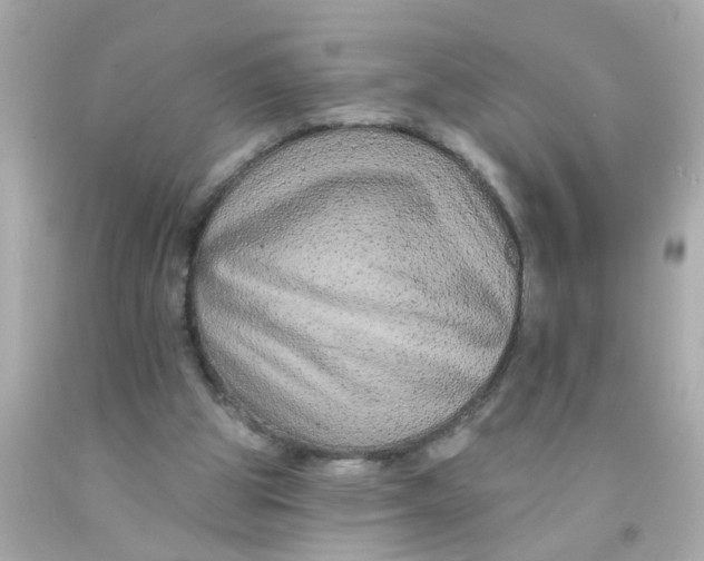 X0000093140153200710241349