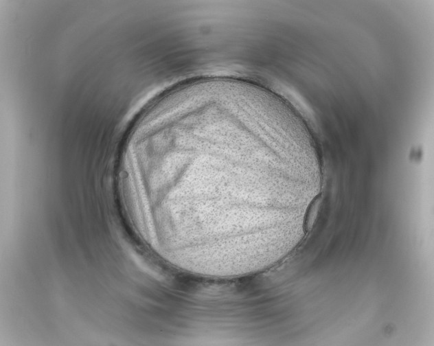 X0000093140155200710241349