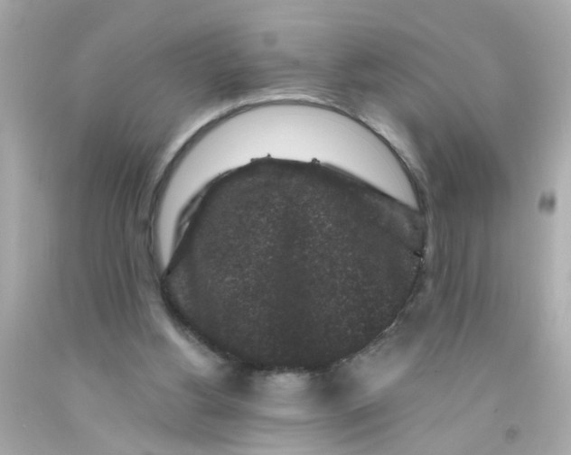 X0000093140156200710241349