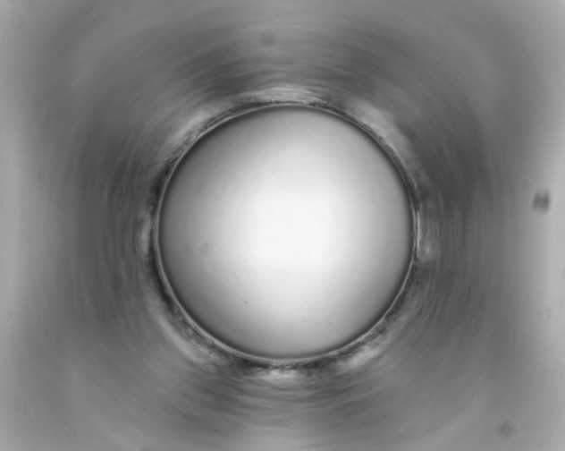 X0000093140157200710241349