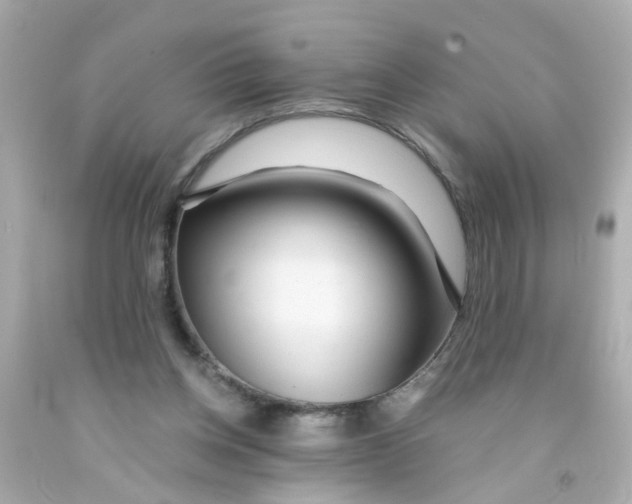 X0000093140158200710241349